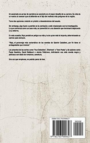 Venganza Una Historia De Rojo Una Novela De Policias, Crime, de Poveda, Pa. Editorial Independently Published, tapa blanda en español, 2019