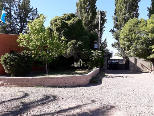 Imagen 4 de 7 de Bodega Con Casona, Coquimbito - Ruta Del Vino