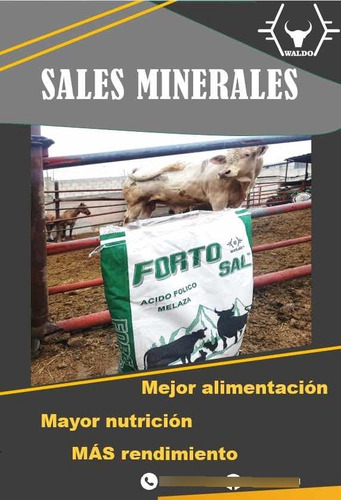 Sal Mineral Vitaminada Buffer Fortosal (Usado)