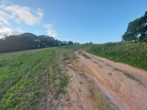 Imagem 9 de 25 de 20o Terreno A Venda Em Cotia