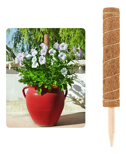 Soporte Para Plantas Con Forma De Bastón De Fibra De Coco, R