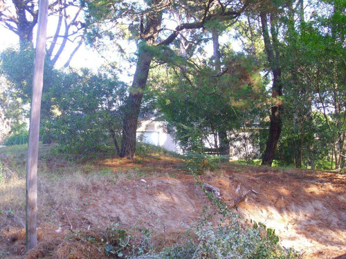 Imagen 4 de 6 de Lote En Venta - Zona Bosque / Ref: 1388