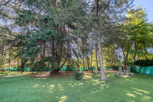 Imagen 7 de 17 de Lote En Venta En Villa Elisa