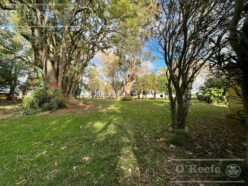 Imagen 16 de 26 de 100 Has En Punta Indio - Excelente Acceso - Ideal Haras!