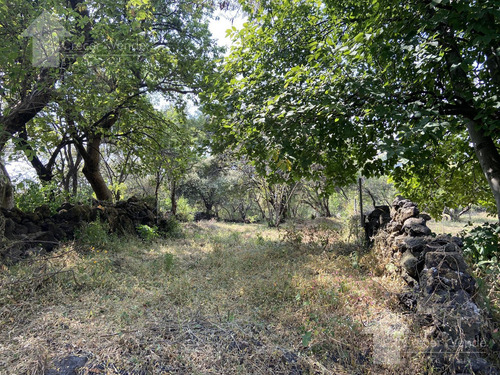Terreno En Venta En Tepoztlán Con Vista Panorámica