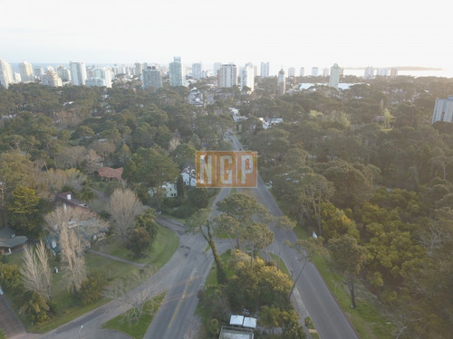 Imagen 3 de 30 de En San Rafael Apto Para Altura