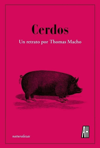 Pasta Dura - Cerdos - Thomas Macho - Nuevo - Original