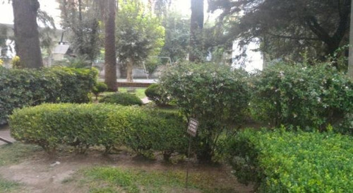 Imagen 7 de 12 de Departamento - Belgrano Chico