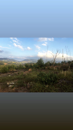 Imagem 4 de 18 de Ka - terreno Para Você Aposentado