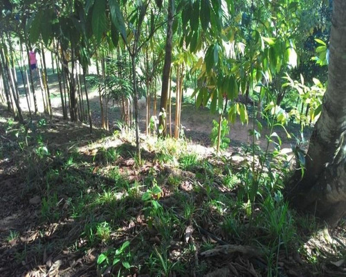 Imagem 23 de 23 de Sitio De 6 Alqueires - St00019
