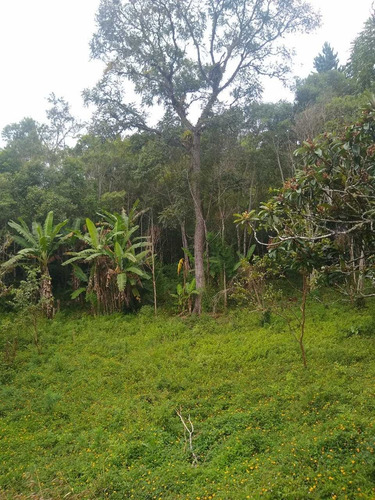 Imagem 12 de 14 de Chacrinha Moleza 3.000metros Com Casa