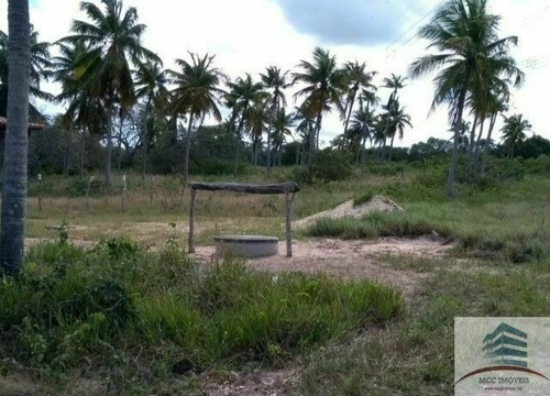 Imagem 3 de 9 de Sítio A Venda Na Lagoa Do Sítio, Macaíba