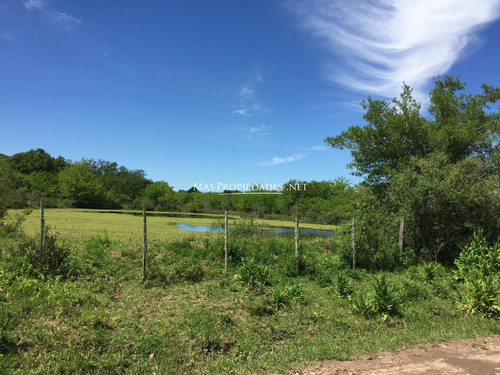 Lote En Venta En Escobar Barrio El Cazador Interno