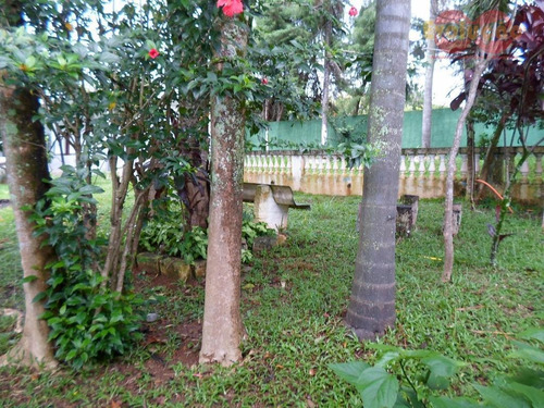 Chácara - Xampirra - Ch0046