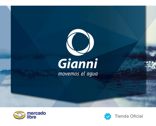 Presurizador Automático Con Manómetro Acquapress Gianni
