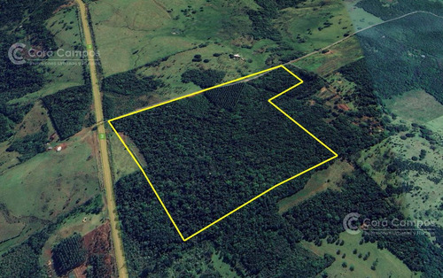 Chacra En Venta De 25ha En Olegario Victor Andrade