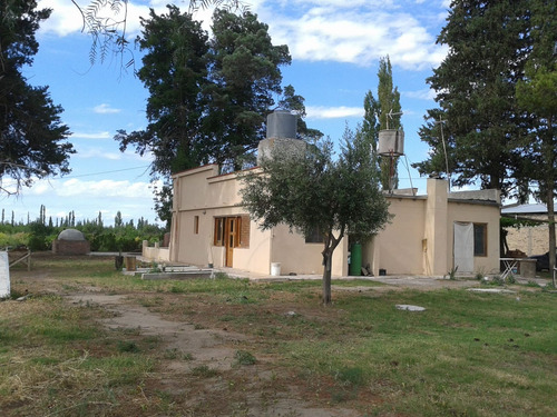 Venta Lote Campo Casa Mendoza General Alvear Bowe
