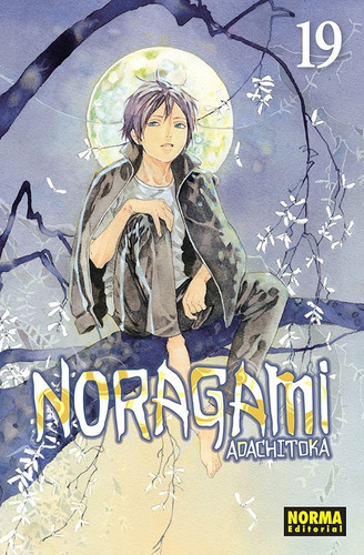 Manga Noragami Tomo 20 - Norma Editorial