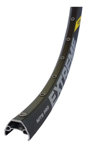 Kit Aro 29 Par Vzan Extreme Pro Disc Tubeless Com Raios Inox