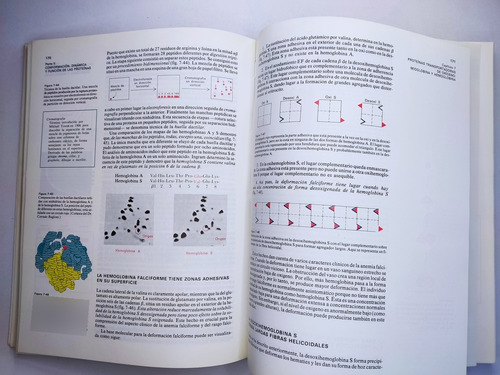 Libro Bioquimica Stryer 192a2 (Usado)