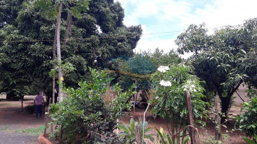 Área, Pq Industrial Tanquinho, Ribeirão Preto - T389-v
