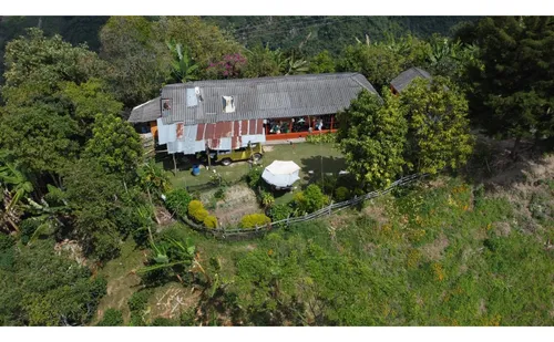 Venta Finca 77000 Mts2 Abejorral Vereda El Guaico