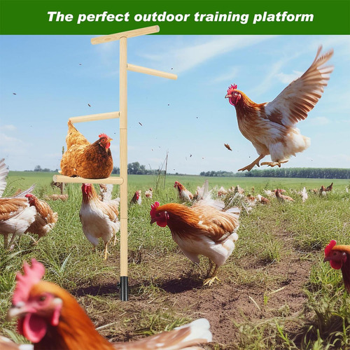 Percha Para Gallinas Percha Grande Para Gallinas Juguetes
