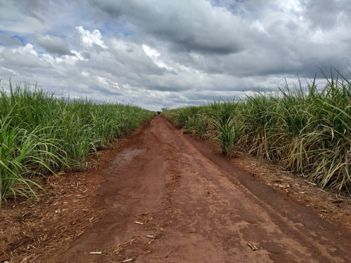 Fazenda Para Venda Em Morro Agudo-sp, Com 74,9 Alqueires Para Cana E Grãos, Ótima Localização - Fa00085 - 69245439