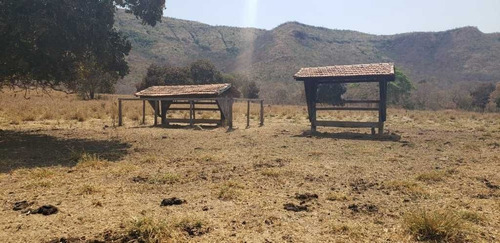 Fazenda De Gado Arinos Mg 2.250 Hectares 65.000,000,00 - 38491