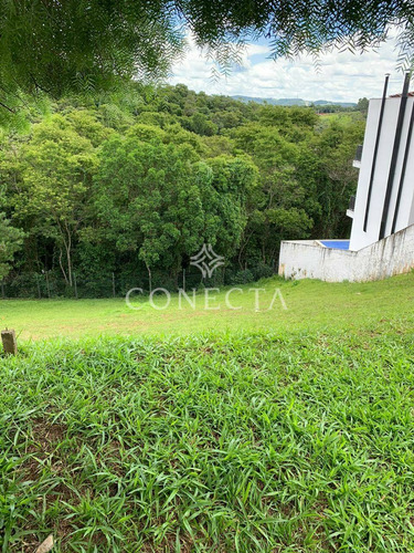 Imagem 2 de 3 de Terreno À Venda Em Alphaville | Valville 1 | 360m² | Declive | Fundo Pra Mata | Rodeado Por Natureza - Cncl1163