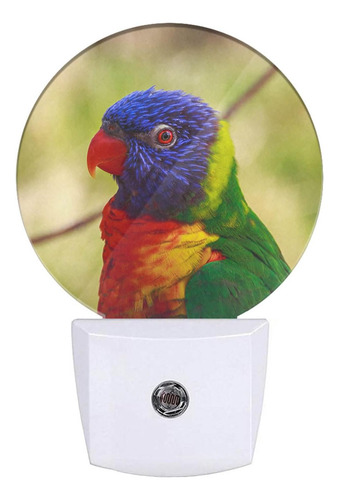 Lámpara De Pájaro Con Luz Nocturna De Plumas Colores