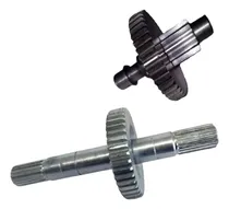 Comprar Eje Principal Engranaje Piñón Z42  Y Z10 Seg Bravo Tork