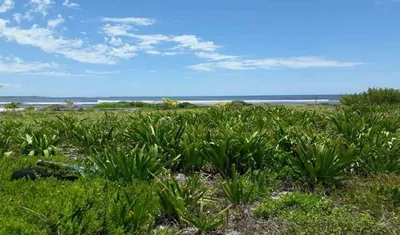 Terreno en venta