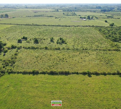 Imagen 9 de 12 de Lotes Rurales De 3,5 Has Cada Una En Ejido Colón