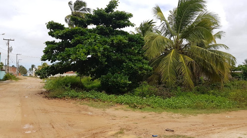 Imagem 9 de 12 de Vendo Terreno Com 361m² De Esquina A 50 Metros Da Praia Da Boda Da Barra Tamandaré-pe | Ideal Para Construir Sua Casa Ampla Para Lazer Ou Investir Em Venda E Locação De Flats