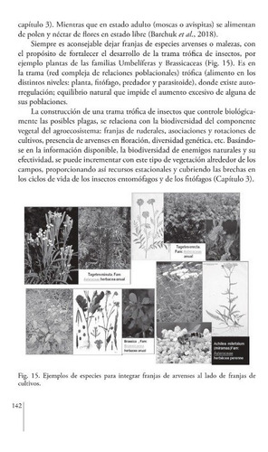 Barchuk: Manual Buenas Prácticas Para Diseños Agroecológicos