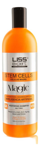 Kit Alisado Liss Expert Máscara + Shampoo Magic 1000ml