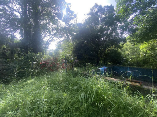 Finca De 35500 Mts Dentro Del Solar En Venta, Guataparo