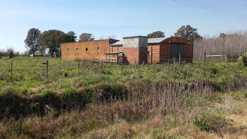 Imagen 2 de 9 de Vendo Parte Indivisa Que Incluye Lote Con Galpon Y Vivienda