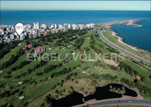 Imagen 4 de 12 de Monoambientes En Punta Carretas Lugar Inigualable