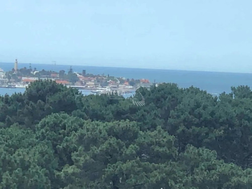 Imagen 8 de 12 de Apartamento En Venta En Punta Del Este, Roosevelt