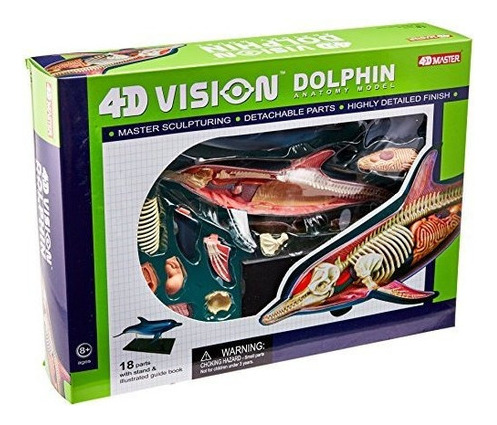 Famemaster 4d-vision Dolphin Anatomy Model