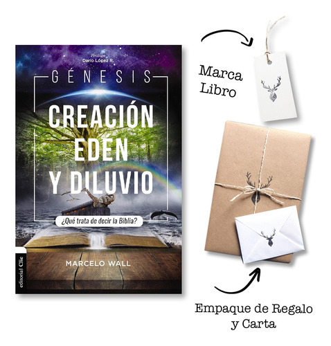 Génesis Creación Edén Y Diluvio Qué Trata De Decir La Biblia