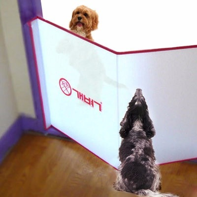 Divisório Ambiente Pet, Original Yogipet