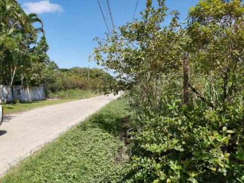 Chácara No Litoral Com 6900 M² Em Itanhaém/sp 6546-pc