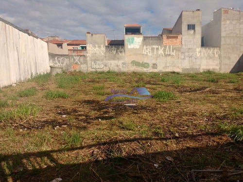 Imagem 6 de 7 de Terreno À Venda, 1175 M² Por R$ 3.525.000,00 - Conjunto Residencial José Bonifácio - São Paulo/sp - Te0008