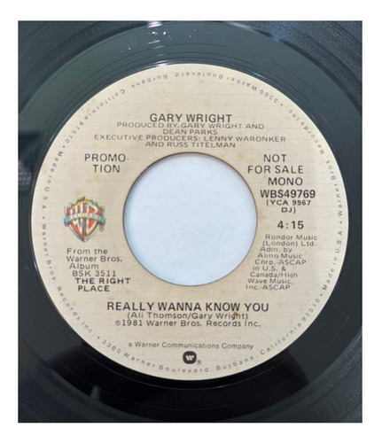 Gary Wright - Really Wanna Know You | 7 Single Vinilo Usado (Usado)