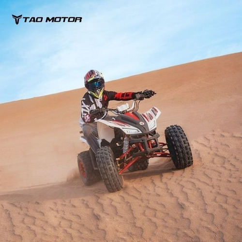 Imagen 10 de 20 de Cuatrimoto Coyote 125cc Automatica 0 Klm 2023