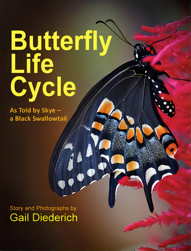 Butterfly Life Cycle: As Told By Skye - A Black Swallowtail: As Told By Skye A Black Swallowtail, De Diederich, Gail., Vol. 1. Editorial Newlife Book Distributors, Tapa Dura En Inglés