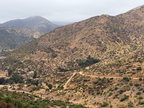 Vende 4 Parcelas De Dos Hectareas En Camino Colliguay Quilp
